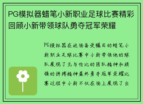 PG模拟器蜡笔小新职业足球比赛精彩回顾小新带领球队勇夺冠军荣耀